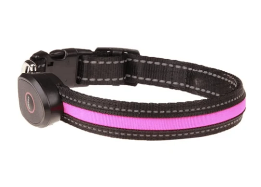 USB Rechargeable LED Dog Collar (Peach Shape)
