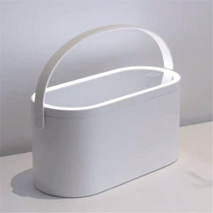Portable LED Vanity Mirror with Carrying Case