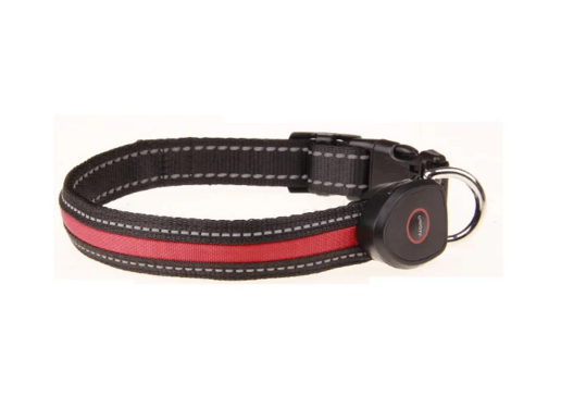 USB Rechargeable LED Dog Collar (Peach Shape)