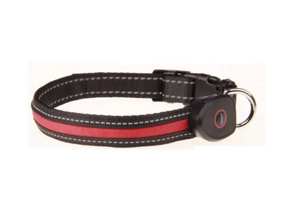USB Rechargeable LED Dog Collar (Peach Shape)